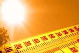 11719998_943609539023541_1620439815_n