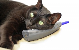 Soft edges on this humorous concept