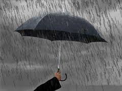 скачанные файлы