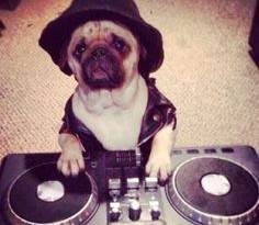 f5f9555b95f4af4d5795e22f9bab43f9