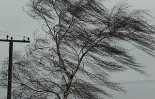 f567d067986854_567d067986893.thumb