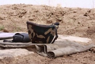 zinvor1_600x399.thumb