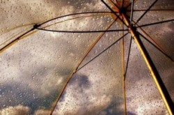 f460e3ff847358bfbd1b8dee28561190_m.thumb