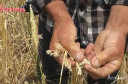 13579952_1234894723217243_1096879719_o-600x338